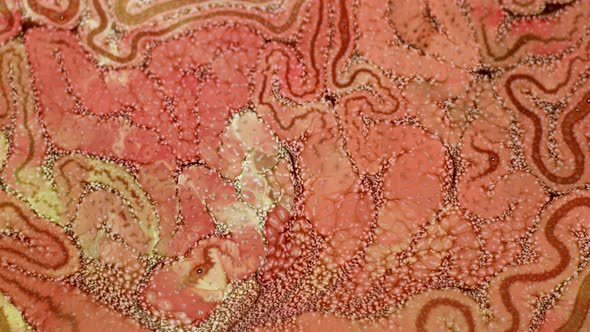 Abstract Colorful Ink Spread Art  alt