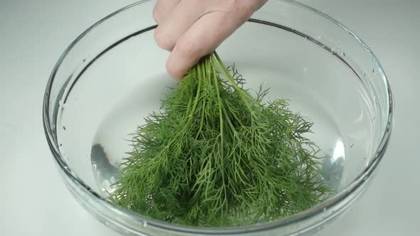 Wet Tuft of Fresh Green Dill in a Woman's Hand, Slow Motion. Female Hand Washes Greens in Clean alt