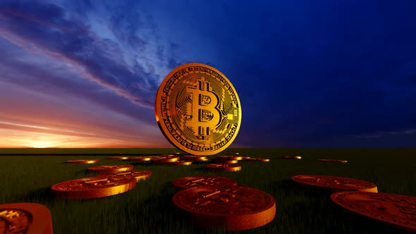 3D Bitcoin Gold Generic Animation