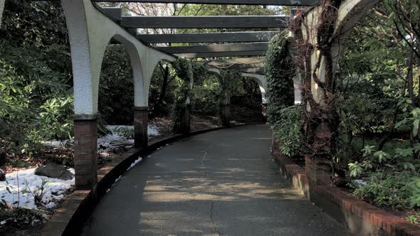 Path in Early spring Park and Tilford Gardens alt