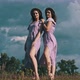 Two Young Slender Twin Girls in Identical Dresses Looking at Camera in Nature - VideoHive Item for Sale