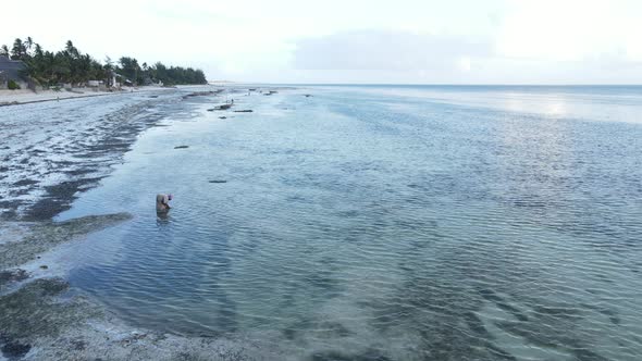 Lonely Woman Walking on the Beach at Low Tide Low Tide in Zanzibar Slow Motion alt