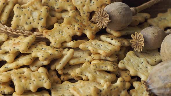 Baked party poppy seed crackers, dry poppy heads . Salty snacks