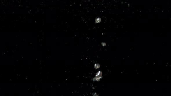 Air Bubbles in Water Rising Up to the Surface on Isolated Black Background alt