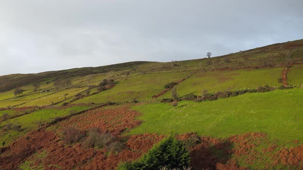 Aerial view Irish valley in autumn alt