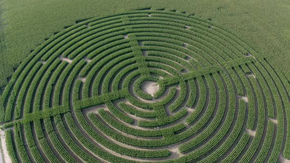 Labyrinth In A Corn Field