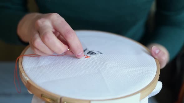 a needle with a thread create a pattern on the canvas in the hands of a girl alt