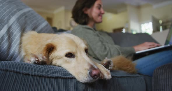 Smiling caucasian woman using laptop working from home with her pet dog on sofa next to her alt
