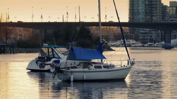 Yachts In City Bay In The Evening alt