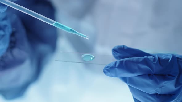 Hands of Scientist Dripping Blue Liquid on Glass Slide alt