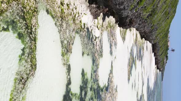 Vertical Video of Low Tide in the Ocean Near the Coast of Zanzibar Tanzania Aerial View alt