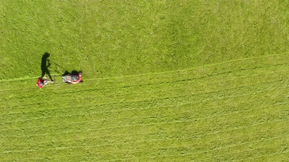 A gardener neatly mowing grass on sunny day, static aerial shot alt