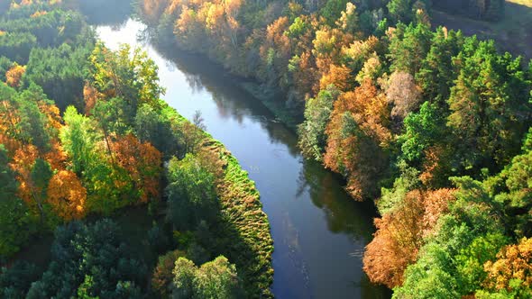 Forest and river at sunrise in autumn, aerial view, Poland alt