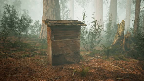 Old Wooden Beehive in Forest in Fog alt