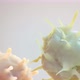 3D Animated Immune Cells Destroy Cancer Cells - VideoHive Item for Sale
