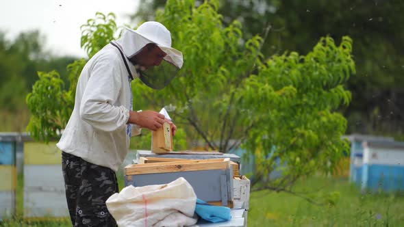 Male beekeeper with hive. alt