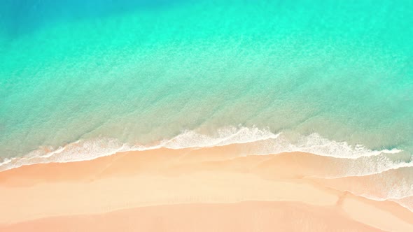 Tropical Beach With Gold Sand