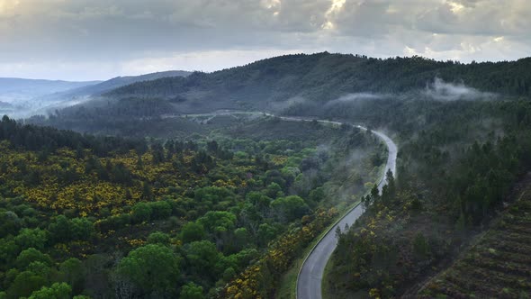 Top View Flying Drone Shooting Highway Road Near Foot of Mountains Hill in Portugal Near Coniferous alt