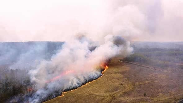 Aerial footage fire and smoke, Chernobyl zone, Ukraine. Flyover forest wildfire alt