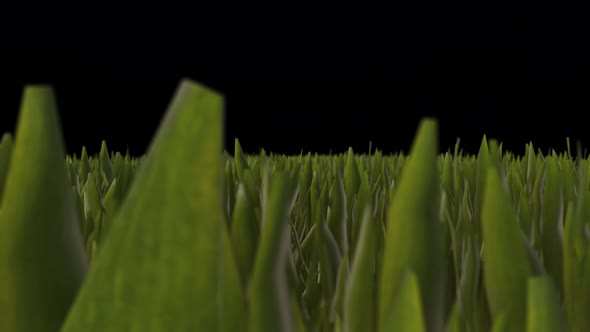 Grass Animation With Alpha
