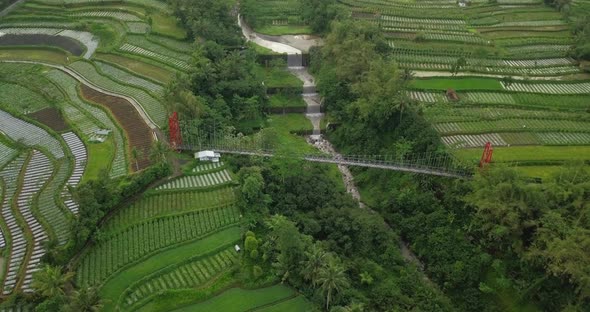 Reveal drone shot of metal suspension bridge build over river with waterfall, surrounded by trees an alt