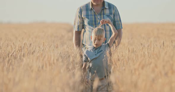 Boy is Walking on an Unlimited Field of Wheat