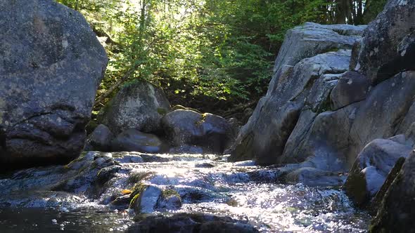 Water Rushing Down Stream Beside Large Rocks Beside Green Forest