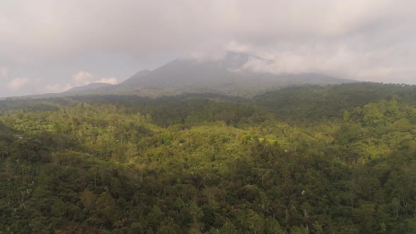 Tropical Landscape Rainforest and Mountains alt