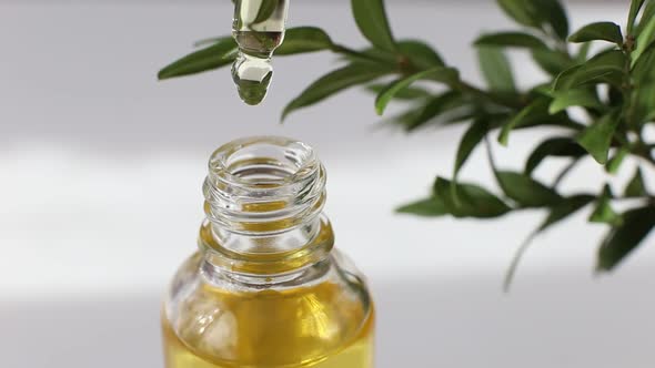 Golden Cosmetic Oil Dripping Into a Bottle From a Glass Pipette on a White Background Green Plant