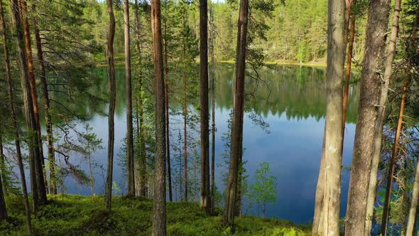 Lake and Forest in Finland alt