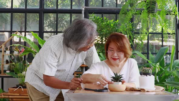 Elderly Asian couple happily caring for the trees in the garden at home during the holidays alt