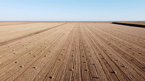 Mown Steppe Field with Cylindrical Sheaves of Hay in the Distance Blue Sea on the Horizon on a Sunny alt