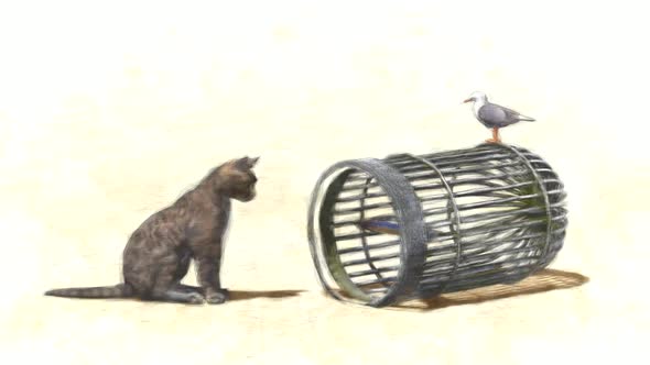 Cat and Bird Cage Stop Motion