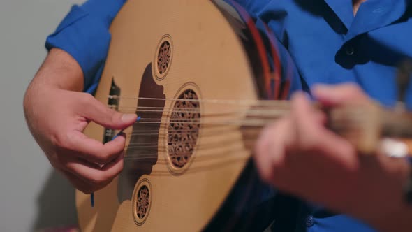 Playing The Lute alt