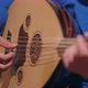 Playing The Lute - VideoHive Item for Sale