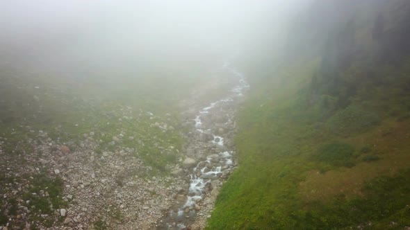 Clean Stream Flowing of Green Ayder Plateau in Rize, Turkey
