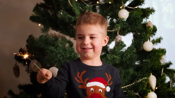 Little caucasian boy with Xmas sweater standing by Christmas tree at home and holding sparkler. 