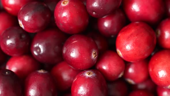Cranberries 11 alt