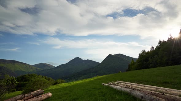 Sawn Wood on a Green Meadow in a Mountainous Rural Alpine Landscape