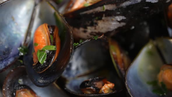 Mussels 24 alt