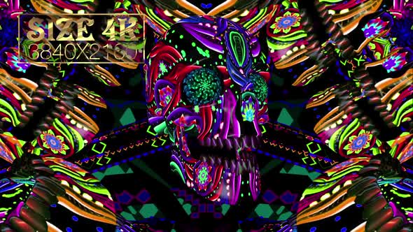 Colorful Psychedelic Skull 05