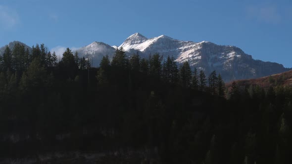 Rising aerial view revealing snow capped mountains from behind pine trees alt
