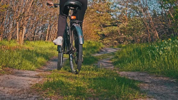 Woman on Bicycle Rides Along Forest Path in a Green Area on a Sunny Summer Day alt