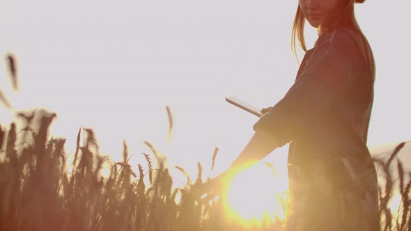 Woman Farmer in a Hat and a Plaid Shirt Touches the Sprouts and Seeds of Rye Examines and Enters alt