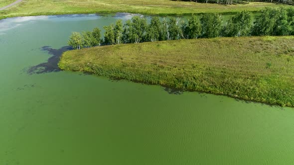 Summer Landscape