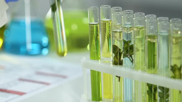 Cosmetology Lab Worker Marking Sample of Plant in Test Tube, Natural Essence alt