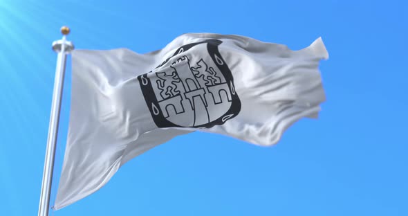 Mexico City Flag alt