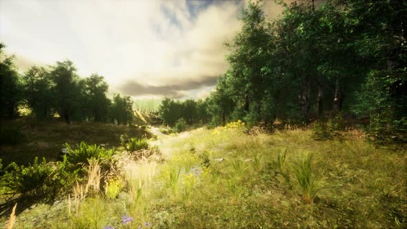 Heavy Rain Clouds Over the Field at the Sunset alt