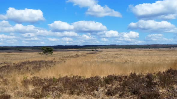 Clouds drift by, casting their shadow over dry grassland. Time lapse alt
