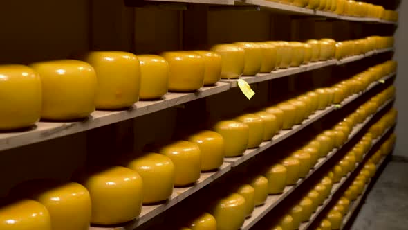 Shelves with Cheese at a Cheese Warehouse